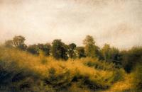 Vilhelm Hammershoi - Trohod Forest